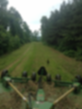 mowing2.webp