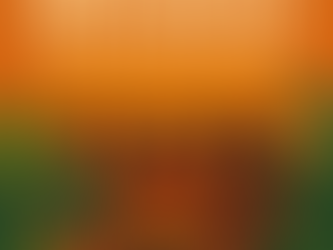 Sistema Andorinhas de Economia Solidária como Direito Humano Amazônico