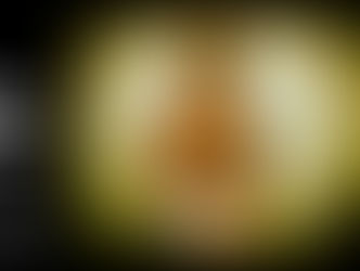 Luciana Medeiros anuncia premiados do VII FICCA