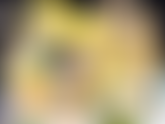 Anatolia Story: a adaptação em anime do mangá de Chie Shinohara