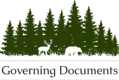 governing docs_4x.png