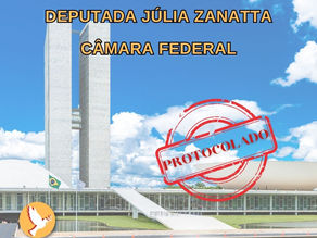 Pedido de Cassação de Júlia Zanatta
