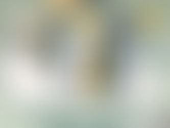 A NORMALIZAÇÃO DO RADICALISMO