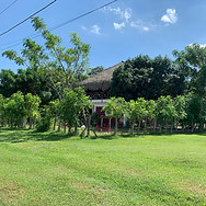 Finca Oasis