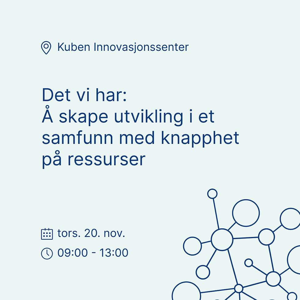 Det vi har