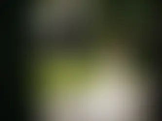 15 Stunning Los Angeles Wedding Photographer Styles Every Bride Will Love