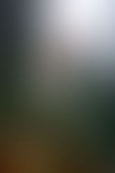 Castaways Wedding Photography