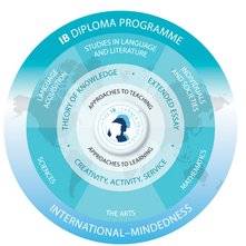 A DP1 Certified Guide on IB subjects