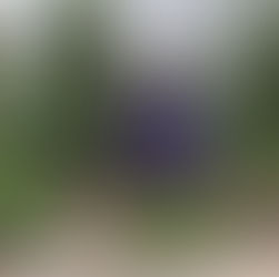 The beauty of fountainscapes