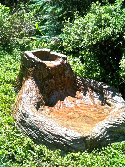 Sculpted Garden Fountain