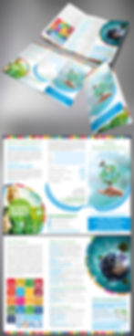 NGO Sustainability Flyer
