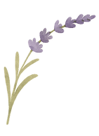 Aromatherapy Lavender