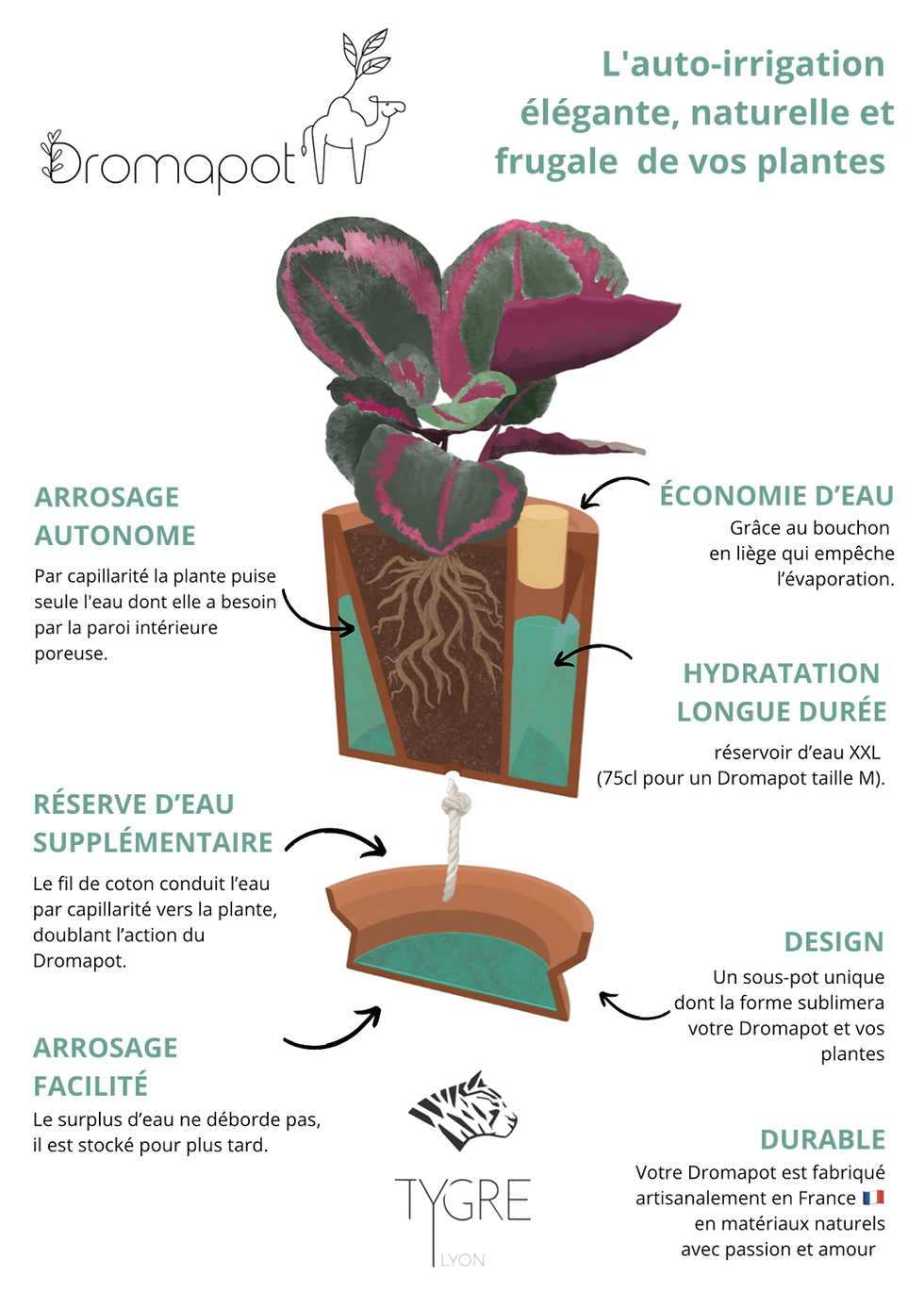 Miniature : Pack Dromapot