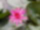 20181210_101226.jpg