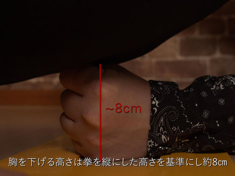 腕立て伏せ-TEPPENベンチプレスの体力測定器や対決企画に！体力試験-検査-検定