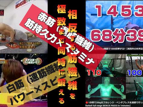 筋トレヒーローの神髄!赤筋と白筋の相反する筋繊維を極致まで同時に鍛える方法