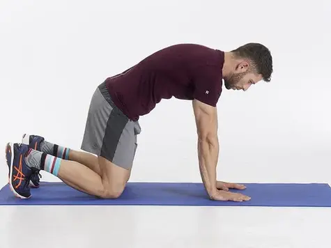 四つん這い腕立て伏せを男性や上級者におすすめする理由💪やり方･負荷･効果