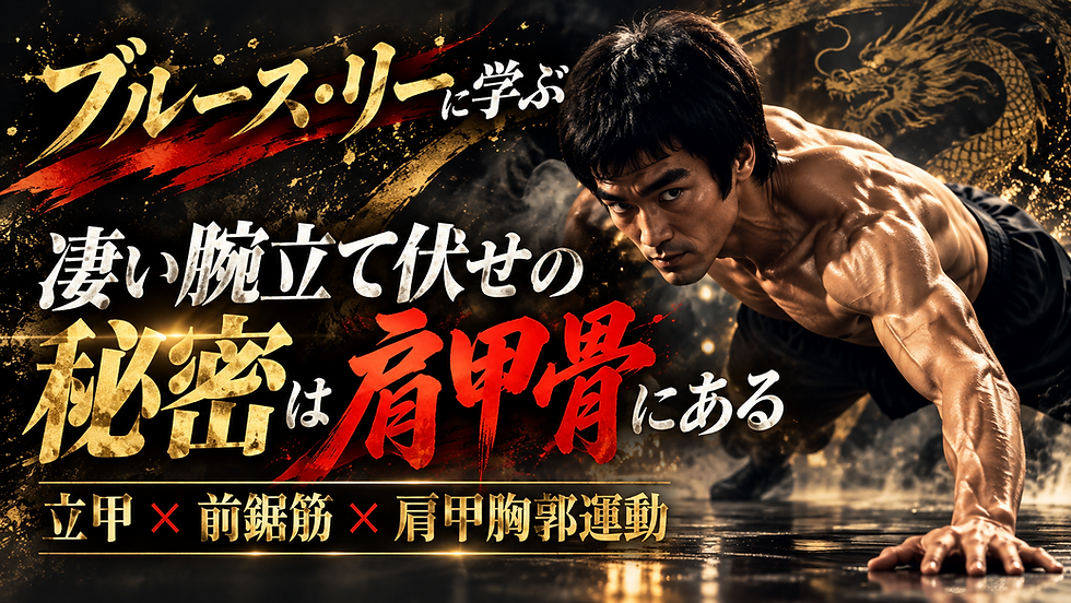 ブルース・リーに学ぶ腕立て伏せの肩甲骨の使い方|立甲と前鋸筋を徹底解説!