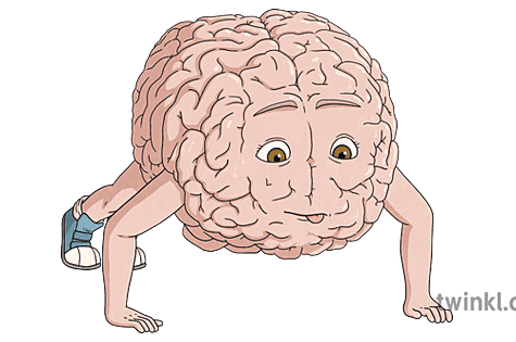 運動脳✖腕立て伏せトレーニング！身体パフォーマンスの効果とメリットを解説