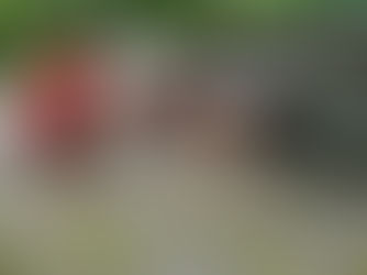 スポーツ競技別アスリートの腕立て伏せトレーニング方法！瞬発力･持久力の向上