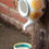 Thumbnail: Tea Pot Feeder