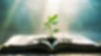 lightstock_903677_medium_joseph_groover.jpg