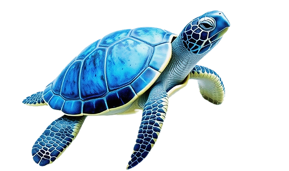 resize765blue turtle white background_edited_edited.png
