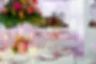 FOTO 4.webp