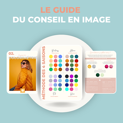 Guide du conseil en image.png