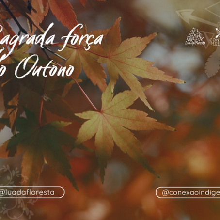 Outono: o chamado da alma para silenciar, curar e renascer