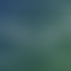 Wachuma e Chakana: medicinas ancestrais dos povos andinos