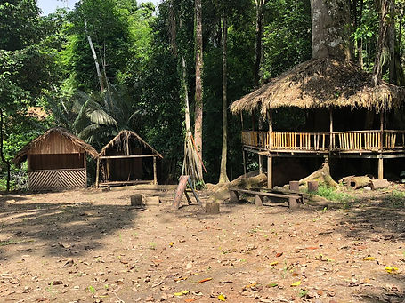 WhatsApp Image 2023-04-16 at 01.17.34.jpeg