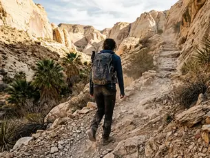 7 Best Hikes Near Palm Springs You Need to Do