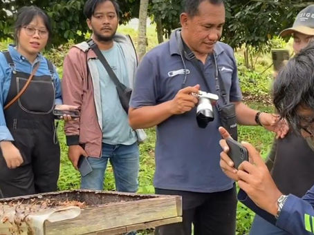 PELATIHAN MADU KELULUT BERSAMA KIM SELERONG