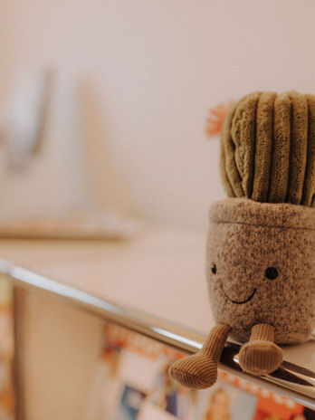 Niedlicher Kaktus Plüschtier sitzt auf der Kante, lächelt entspannt und wirkt freundlich.