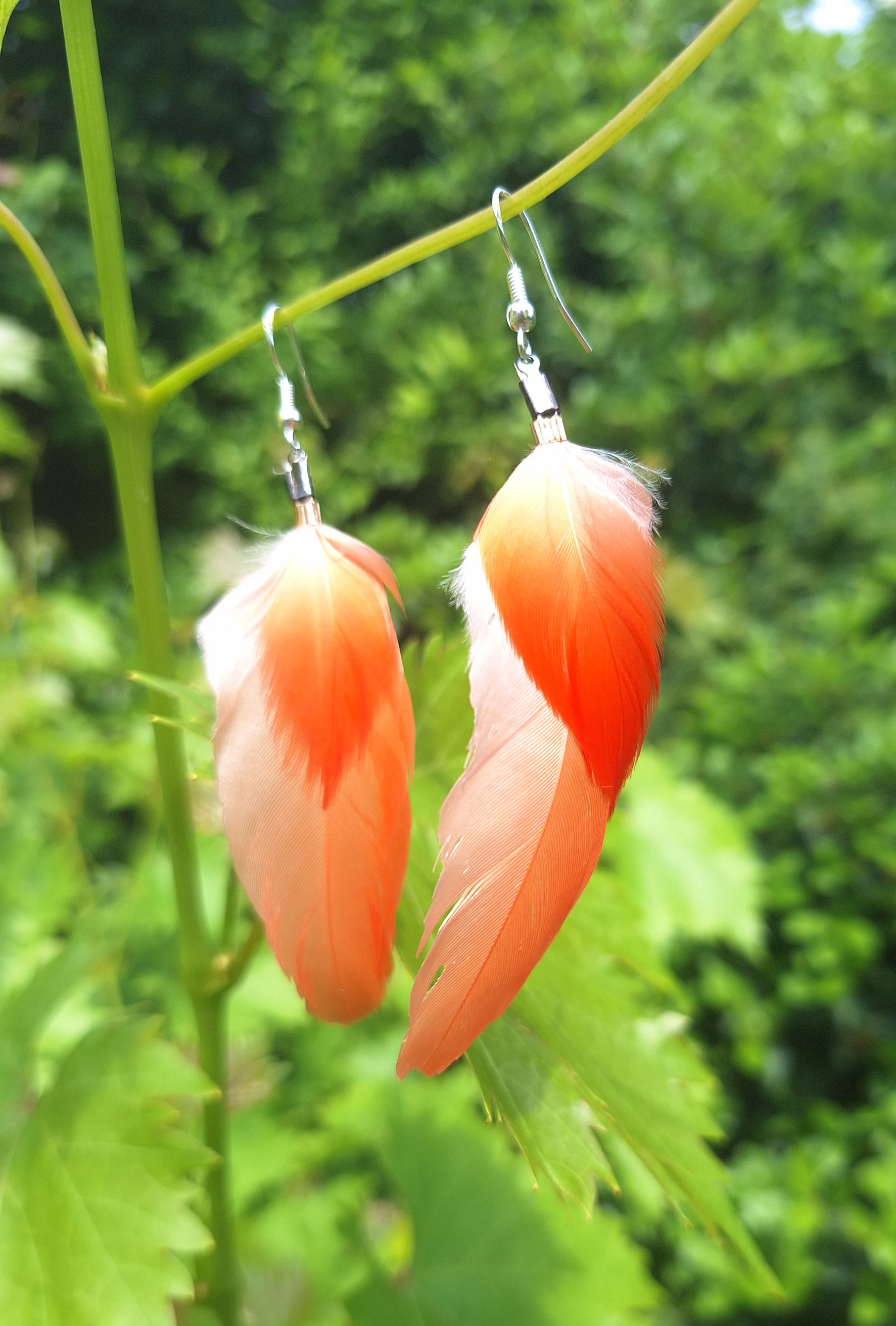 Boucles d'oreilles Ibis