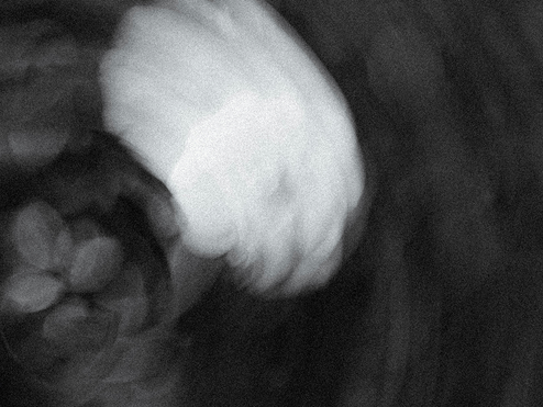 Klarowność zamiast chaosu: jak coaching pomaga podejmować decyzje zawodowe?