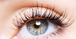 lash.jpg