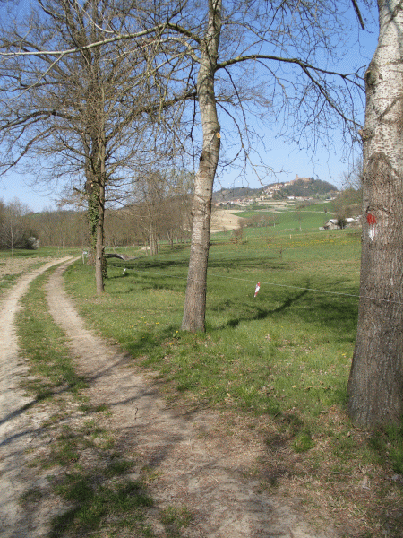 I CAMPI E I PRATI INTORNO A TERRUGGIA