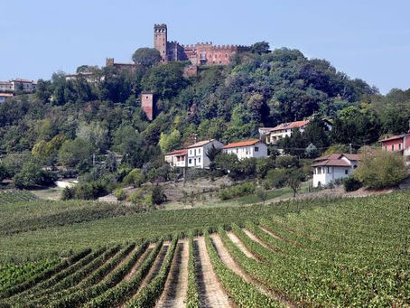 Monferrato Camino Castel