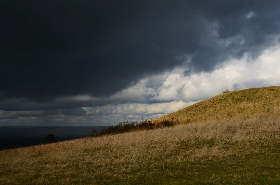 Stormy Grassland Landscape