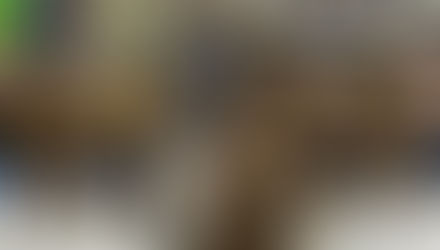 PIMENTA DO "TUIUTI" DOS OUTROS É REFRESCO!