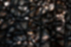 2E9A3142-2.jpg