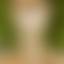 Les friandises apaisantes pour chevaux sont une solution naturelle, saine et efficace pour récompenser votre cheval tout en contribuant à son calme.