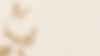 fundo1.png