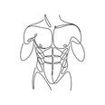 vector art male torso