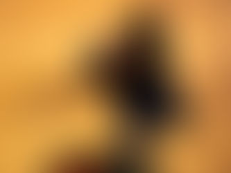 Try-out Rhythm 'n Booty