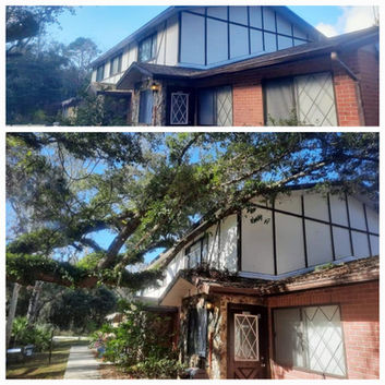 Trimmed and removed large tree limbs over a roof