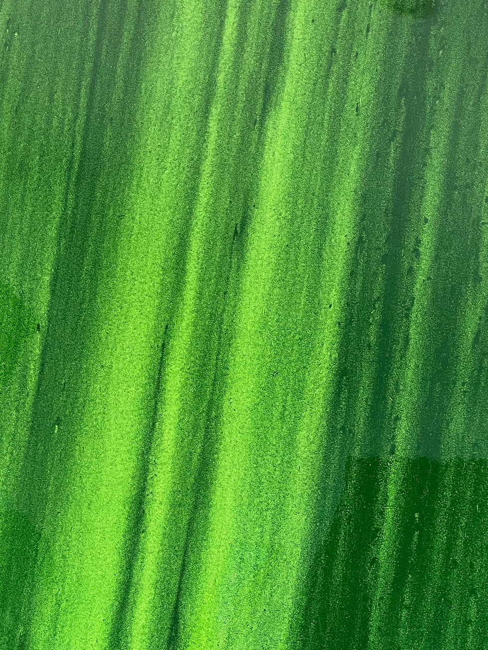 Pounamu detail 1.jpeg