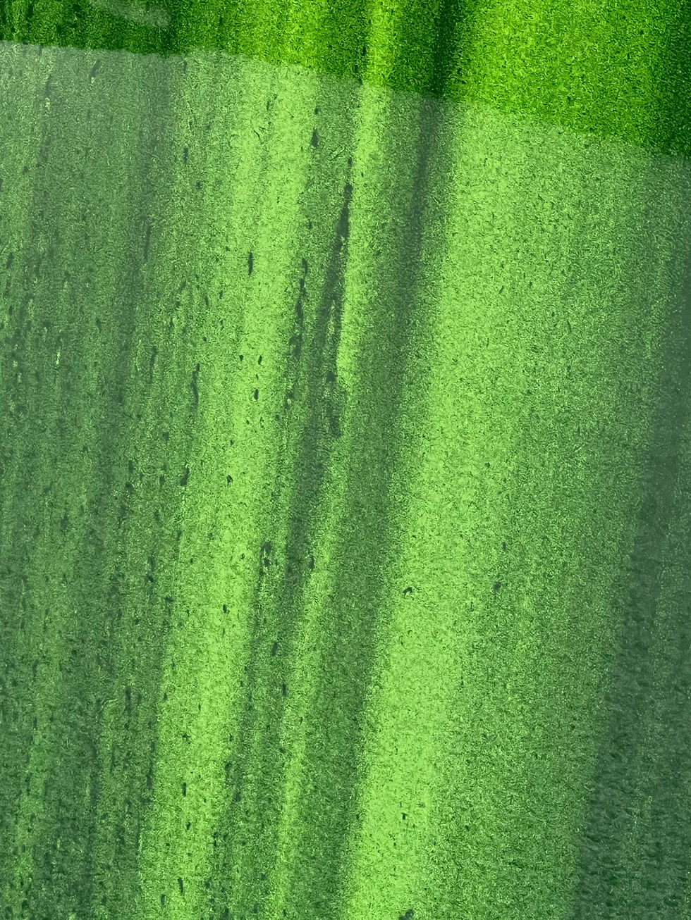 Pounamu detail 2.jpeg